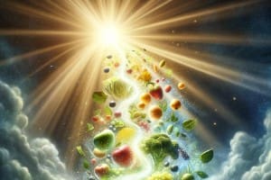 Scalar Light Nutrient Boost